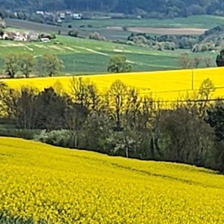 La Layotte Villa Vosne-Romanée Dış mekan fotoğraf