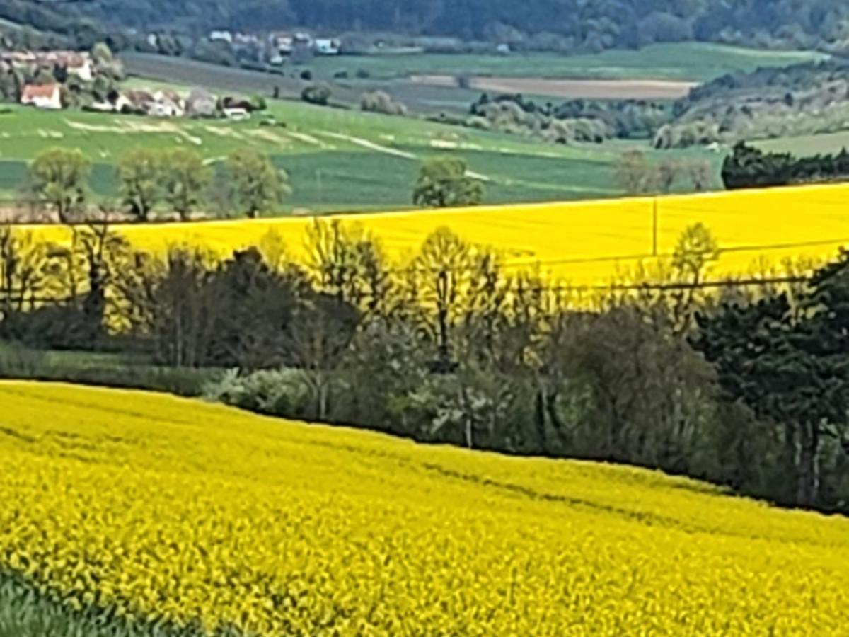 La Layotte Villa Vosne-Romanée Dış mekan fotoğraf