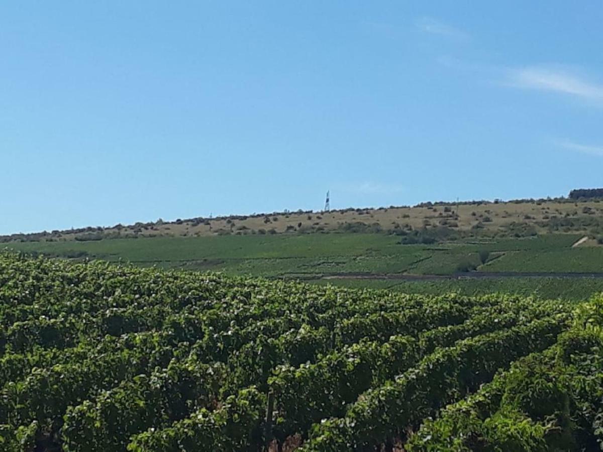 La Layotte Villa Vosne-Romanée Dış mekan fotoğraf